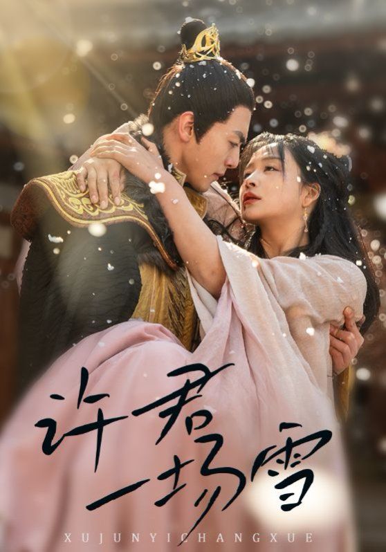 許君一場(chǎng)雪(全集)