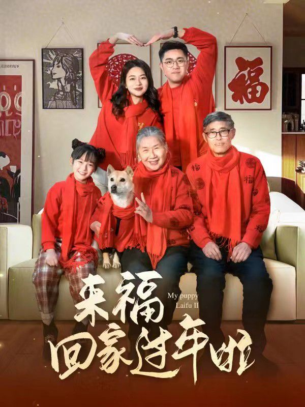 來?；丶疫^年啦(全集)