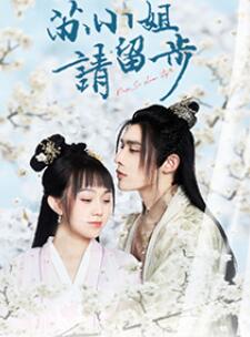 蘇小姐請(qǐng)留步第12集