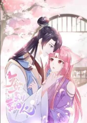 狐妃，別惹火