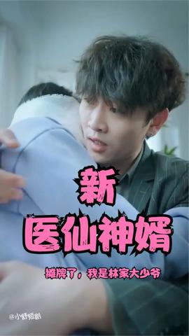 攤牌了，我是林家大少爺(新：醫(yī)仙神婿)(全集)