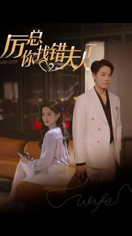 厲總，你找錯(cuò)夫人了(全集)