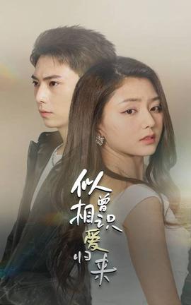 似曾相識(shí)愛(ài)歸來(lái)(全集)