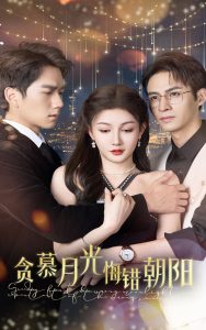 貪慕月光悔錯(cuò)朝陽(yáng)(全集)