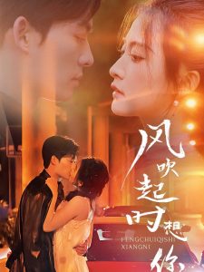 風(fēng)吹起時想你第41-56集完結(jié)(大結(jié)局)