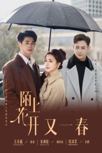 陌上花開又一春(全集)