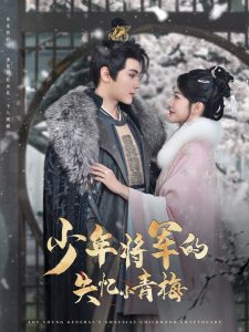 少年將軍的失憶小青梅(全集)