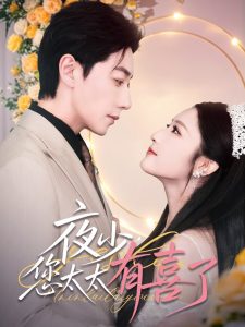 夜少，您太太有喜了(全集)