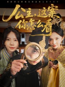 公主，這案你怎么看(全集)