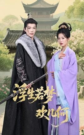 浮生若夢歡幾何(全集)