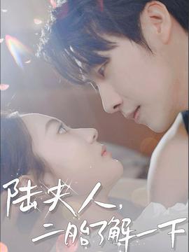 陸夫人，二胎了解一下(全集)