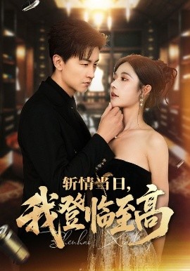 斬情當(dāng)日，我登臨至高(全集)