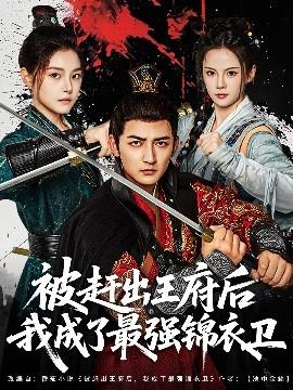 被趕出王府后我成了最強錦衣衛(wèi)(全集)