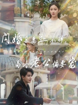 閃婚孕妻逃不掉，高冷老公偏要寵(全集)