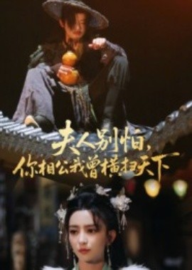 夫人別怕，你相公我曾橫掃天下(全集)