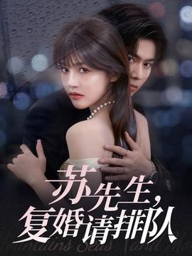 蘇先生，復(fù)婚請排隊(全集)