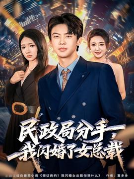 民政局分手，我閃婚了女總裁(全集)