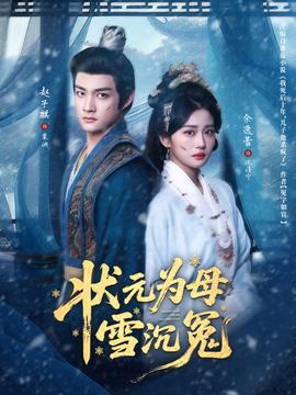 狀元為母雪沉冤(全集)