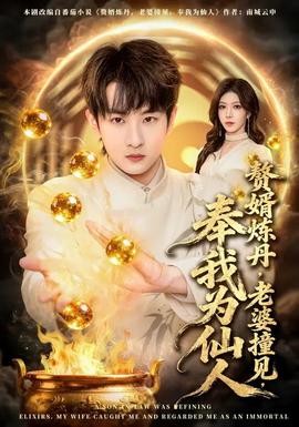 贅婿煉丹，老婆撞見(jiàn)，奉我為仙人(全集)