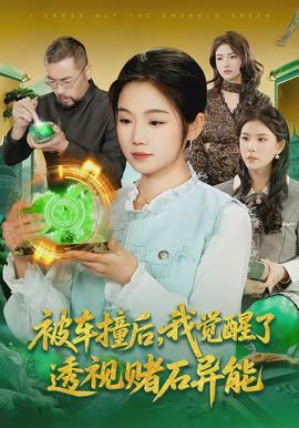 被車撞后，我覺醒了透視賭石異能了(全集)