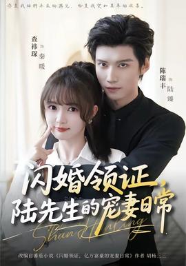閃婚領(lǐng)證，陸先生的寵妻日常(全集)